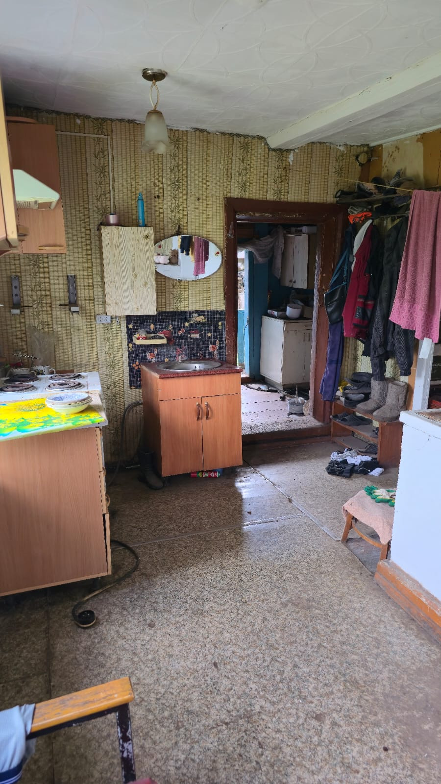 Дом в д. Романовка