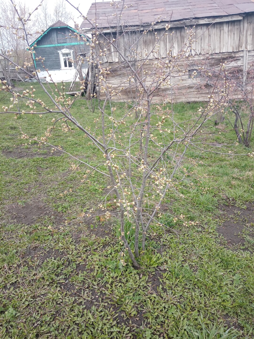 Дом п.Цыганка