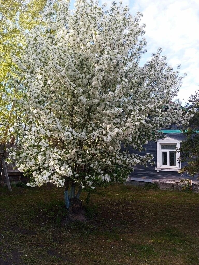 Дом п.Цыганка