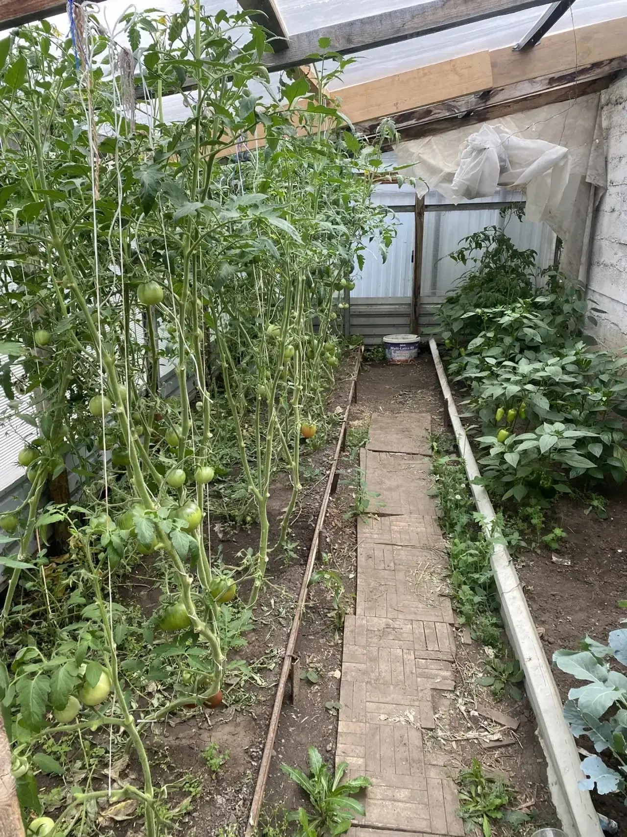 Дом в Сулее